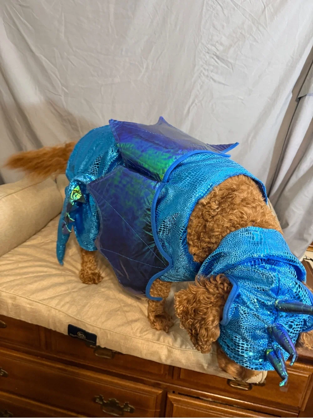 Blue Iridescent Mermaid Costume Top